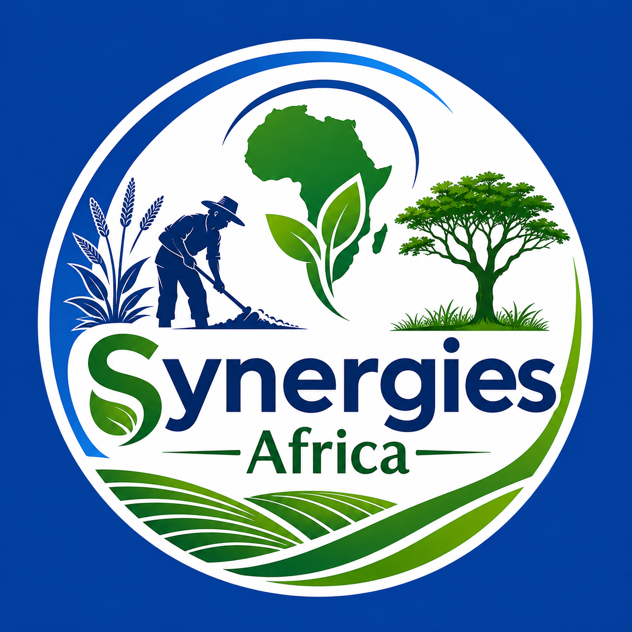 Présentation Synergies Africa